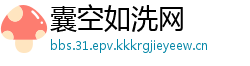 囊空如洗网